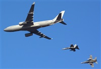 ©Alejandro H.L - Gran Canaria Spotters. Click to see full size photo ©Alejandro H.L - Gran Canaria Spotters. Click to see full size photo