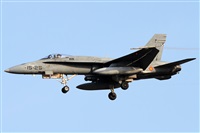 Alfonso Sols - Asociacin Canary Islands Spotting. Haz click para ampliar