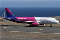 ©Alfonso Solís - Asociación Canary Islands Spotting. Click to see full size photo ©Alfonso Solís - Asociación Canary Islands Spotting. Click to see full size photo