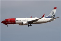 Alfonso Sols - Asociacin Canary Islands Spotting. Click to see full size photo