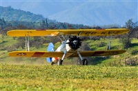 Maurice Becker. Click to see full size photo
