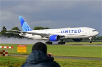 Miguel A. gueda Rguez.  (CANARY ISLANDS SPOTTING). Click to see full size photo