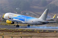 Miguel A. gueda Rguez.  (CANARY ISLANDS SPOTTING). Click to see full size photo