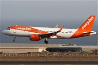 Alfonso Sols - Asociacin Canary Islands Spotting. Click to see full size photo