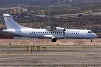Miguel A. gueda Rguez.  (CANARY ISLANDS SPOTTING). Click to see full size photo