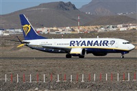 ©Alfonso Solís - Asociación Canary Islands Spotting. Click to see full size photo ©Alfonso Solís - Asociación Canary Islands Spotting. Click to see full size photo