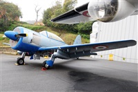 Gabriele Fontana - Tuscan Aviation. Click to see full size photo