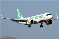 ©Alfonso Solís - Asociación Canary Islands Spotting. Click to see full size photo ©Alfonso Solís - Asociación Canary Islands Spotting. Click to see full size photo