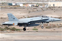 G.Medina. Click to see full size photo