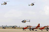 ©Antonio Zamora - La Mancha Spotters. Click to see full size photo ©Antonio Zamora - La Mancha Spotters. Click to see full size photo