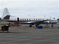 Luciano de la Rosa Gutirrez (Tenerife) Canary Islands Spotting. Haz click para ampliar