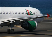 Adrin Alonso Lemes - Lanzarote Spotters. Click to see full size photo