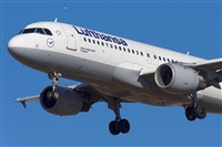 Jos Miguel Bernases - Noisy Spotters. Click to see full size photo