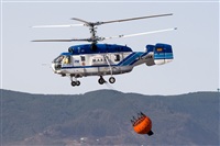 Javier de la Cruz - CANARY ISLANDS SPOTTING. Click to see full size photo
