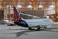 Miguel A. gueda Rguez.  (CANARY ISLANDS SPOTTING). Click to see full size photo