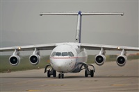 Rodrigo Carvalho - Noisy Spotters. Click to see full size photo