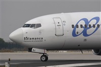 Jos Miguel Bernases - Noisy Spotters. Click to see full size photo
