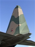 Rui Marques - Portugalspotters.org. Click to see full size photo