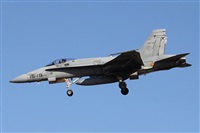 Alfonso Sols - Asociacin Canary Islands Spotting. Click to see full size photo