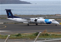 Alejandro H.L - Gran Canaria Spotters. Click to see full size photo