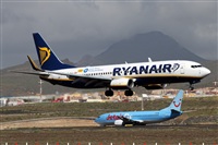 Nacho Rodriguez - Canary Islands Spotting. Click to see full size photo