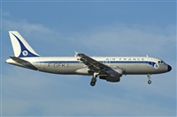 H.volar. Click to see full size photo