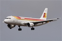 ©Alfonso Solís - Asociación Canary Islands Spotting. Click to see full size photo ©Alfonso Solís - Asociación Canary Islands Spotting. Click to see full size photo