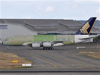 Rubn Gil - Noisy Spotters. Click to see full size photo