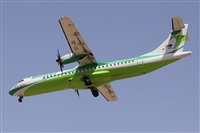 Alfonso Sols - Asociacin Canary Islands Spotting. Haz click para ampliar