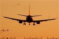 Ana L@dy Spotter. Haz click para ampliar