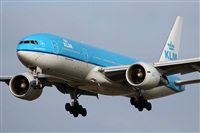 Rodrigo Carvalho - Noisy Spotters. Click to see full size photo