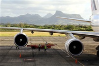 Rodrigo Carvalho - Noisy Spotters. Click to see full size photo