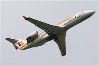 Nacho Rodriguez - Canary Islands Spotting. Click to see full size photo