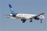 ©Alfonso Solís - Asociación Canary Islands Spotting. Click to see full size photo ©Alfonso Solís - Asociación Canary Islands Spotting. Click to see full size photo
