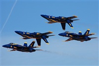 Ana L@dy Spotter. Click to see full size photo