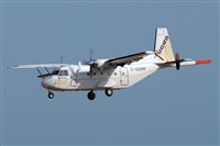 JF Alemn-GranCanariaSpotters. Click to see full size photo