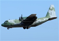 Alejandro H.L - Gran Canaria Spotters. Click to see full size photo