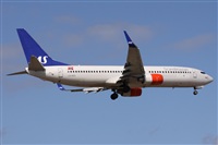 Alfonso Sols - Asociacin Canary Islands Spotting. Haz click para ampliar