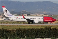 ©Salvador de la Rubia ( Marbella Spotters ). Click to see full size photo ©Salvador de la Rubia ( Marbella Spotters ). Click to see full size photo