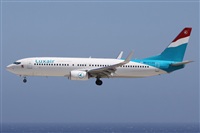 Alfonso Sols - Asociacin Canary Islands Spotting. Click to see full size photo