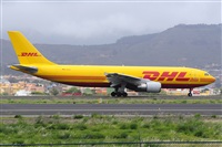 Miguel A. gueda Rguez.  (CANARY ISLANDS SPOTTING). Click to see full size photo