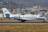 ©Salvador de la Rubia ( Marbella Spotters ). Click to see full size photo ©Salvador de la Rubia ( Marbella Spotters ). Click to see full size photo