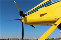 Oriol Battestini. Click to see full size photo