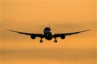 Javier de la Cruz - CANARY ISLANDS SPOTTING. Click to see full size photo