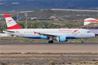Miguel A. gueda Rguez.  (CANARY ISLANDS SPOTTING). Click to see full size photo