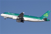 Rubn Gil - Noisy Spotters. Click to see full size photo