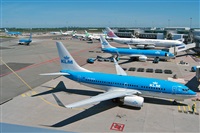 Miguel Martin Cordeiro - Iberian Spotters. Click to see full size photo