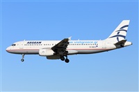 Miguel Alia - Noisy Spotters. Click to see full size photo