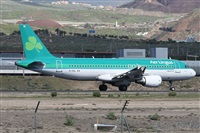 Alfonso Sols - Asociacin Canary Islands Spotting. Click to see full size photo