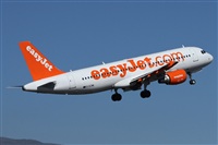 ©Alfonso Solís - Asociación Canary Islands Spotting. Click to see full size photo ©Alfonso Solís - Asociación Canary Islands Spotting. Click to see full size photo